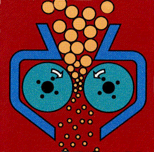 对辊式辣椒APP下载版污API免费动画